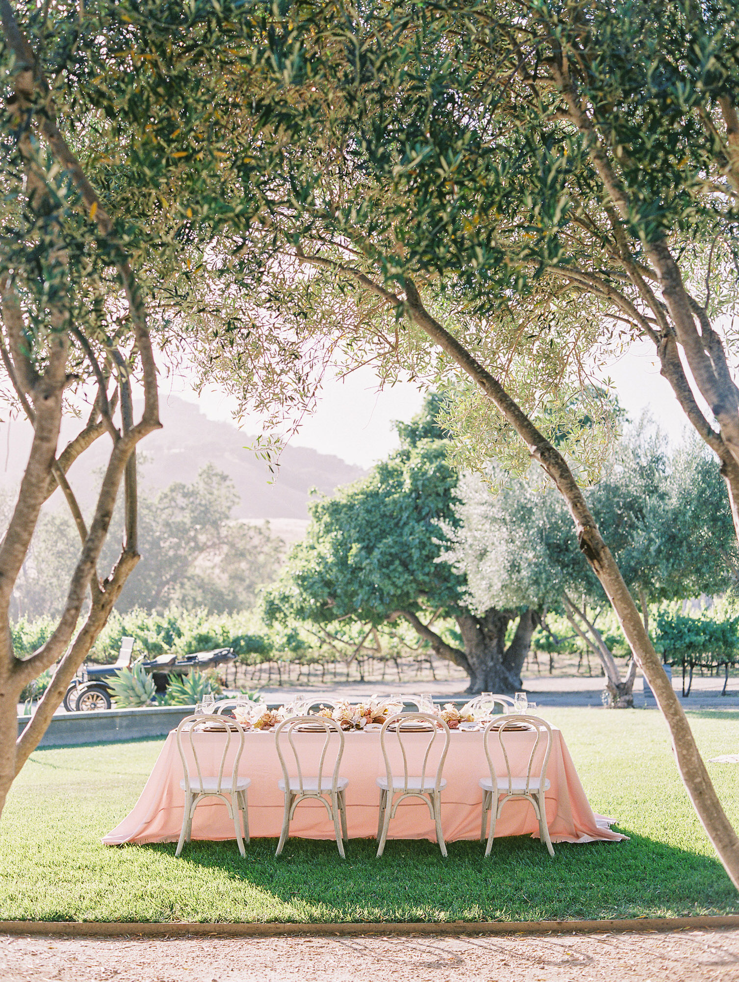 Blush wedding table at this beautiful glamping Elopement Photography At Higuera Ranch