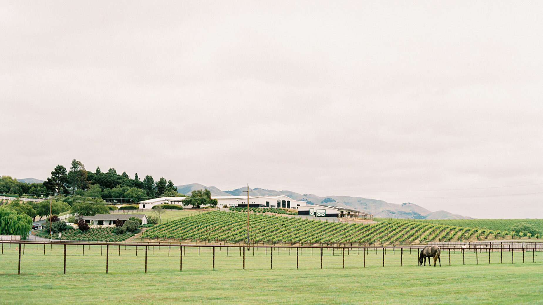 Greengate Ranch and Vineyard Wedding San Luis Obispo California